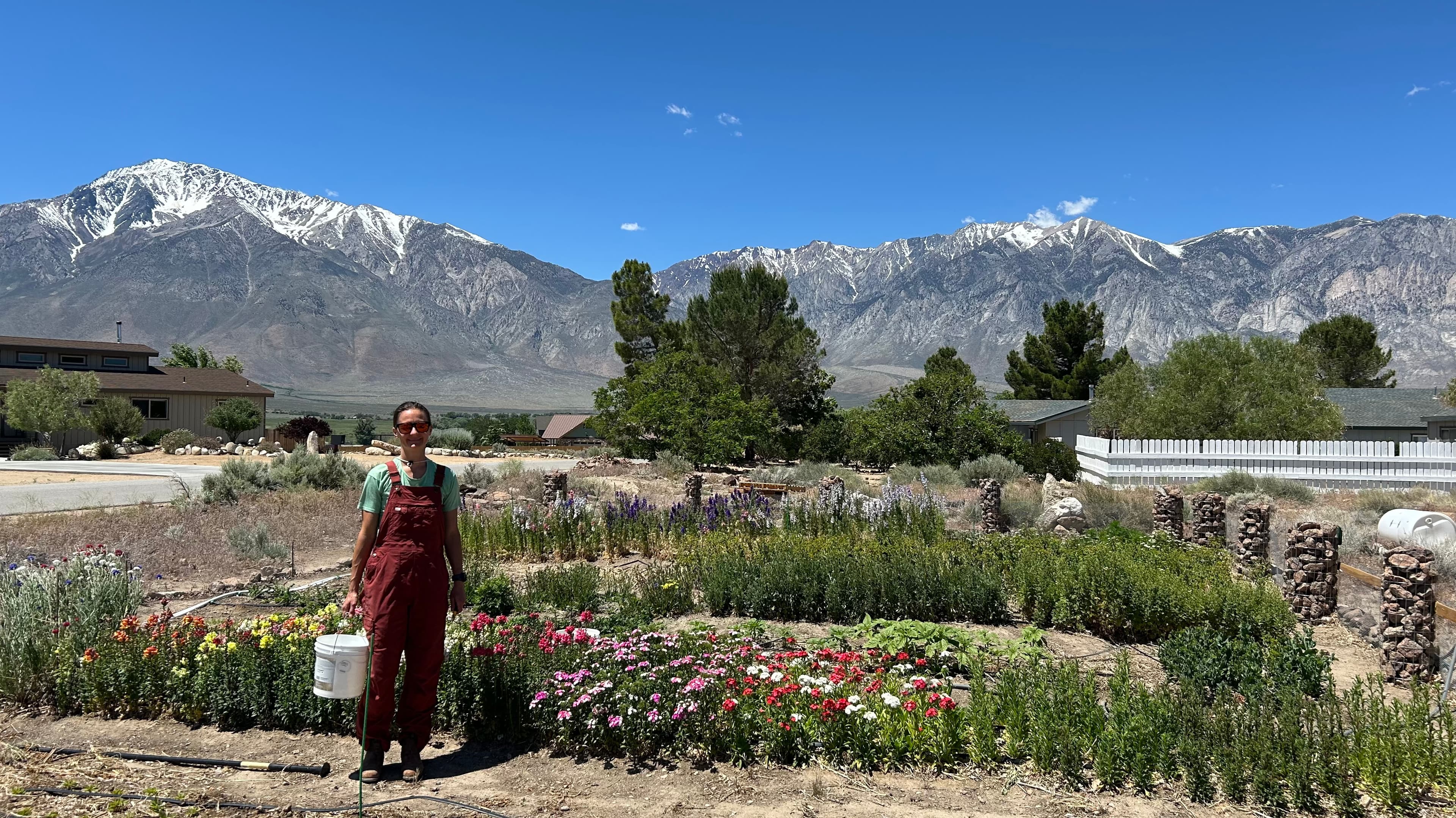 Grace in the flower beds with the Eastern Sierra rising behind the farm