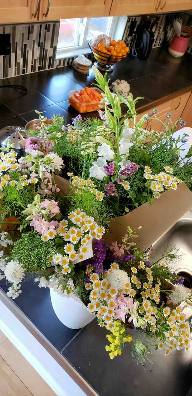 Bouquets of summer flowers available for sale from Grace's Flower Farm