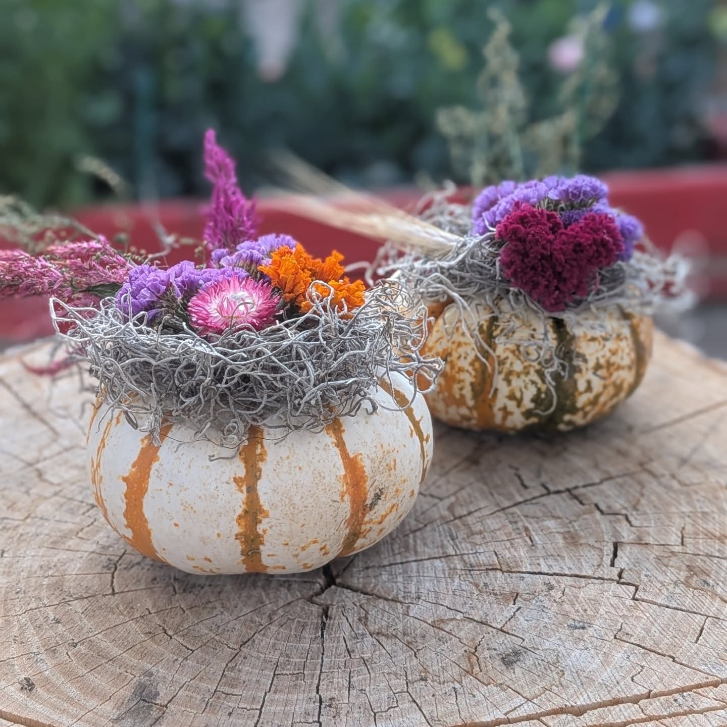 Autumn flowers arranged in striped pumpkins